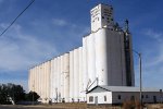 Grain plant